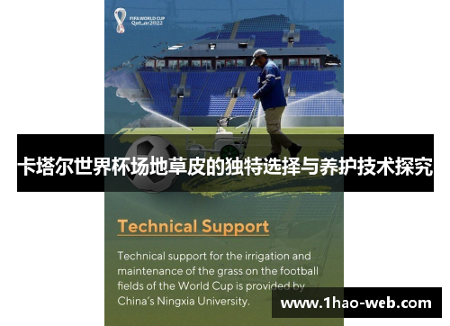 卡塔尔世界杯场地草皮的独特选择与养护技术探究