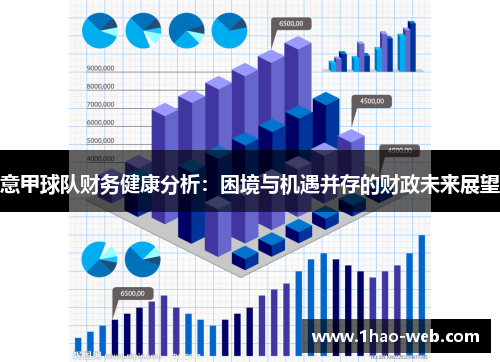意甲球队财务健康分析：困境与机遇并存的财政未来展望