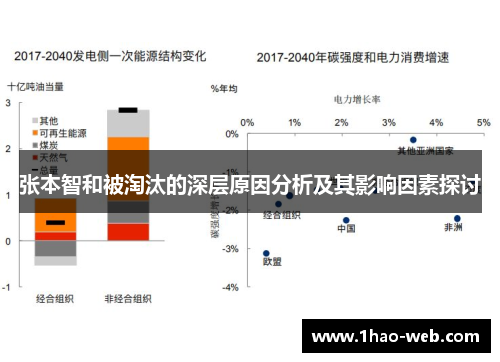 张本智和被淘汰的深层原因分析及其影响因素探讨
