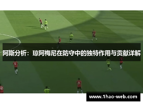 阿斯分析：琼阿梅尼在防守中的独特作用与贡献详解